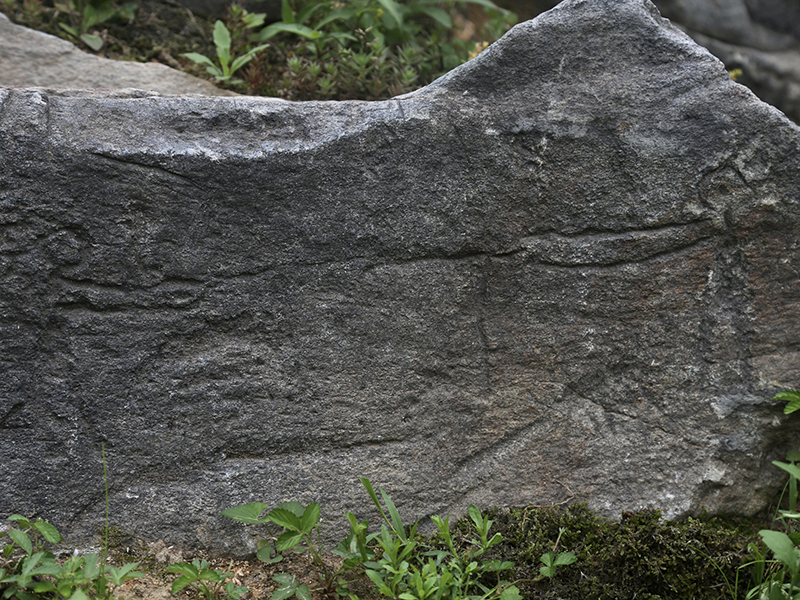 華夏聯(lián)盟手拉手