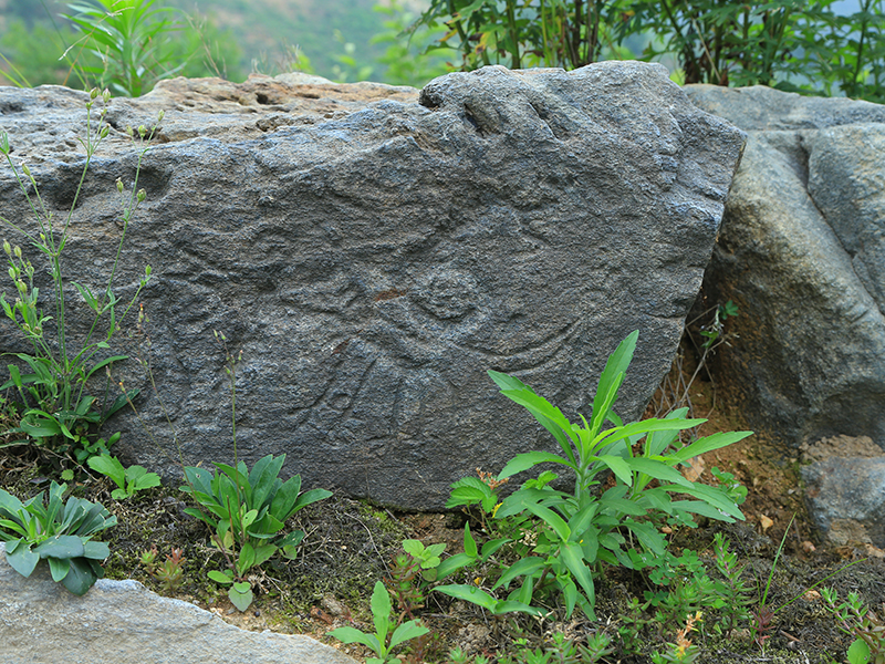 三足金烏太陽(yáng)鳥(niǎo)
